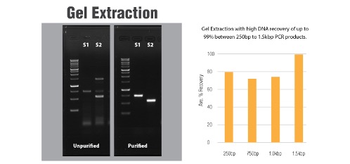 PrimeWay Total RNA Extraction Kit