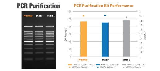 PrimeWay Total RNA Extraction Kit
